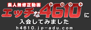h4610の感想